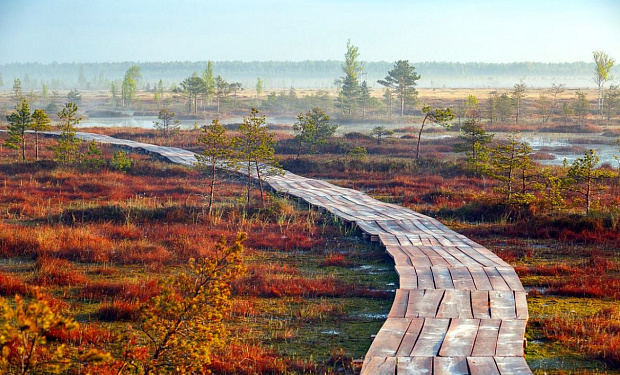 Главное фото